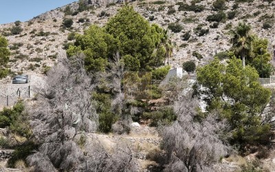 Urban plot with panoramic views.